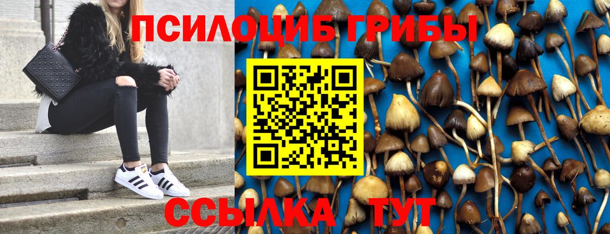 Псилоцибиновые грибы Magic Shrooms  Вход с VPN  Нягань  Галлюциногенные грибы мухоморы 